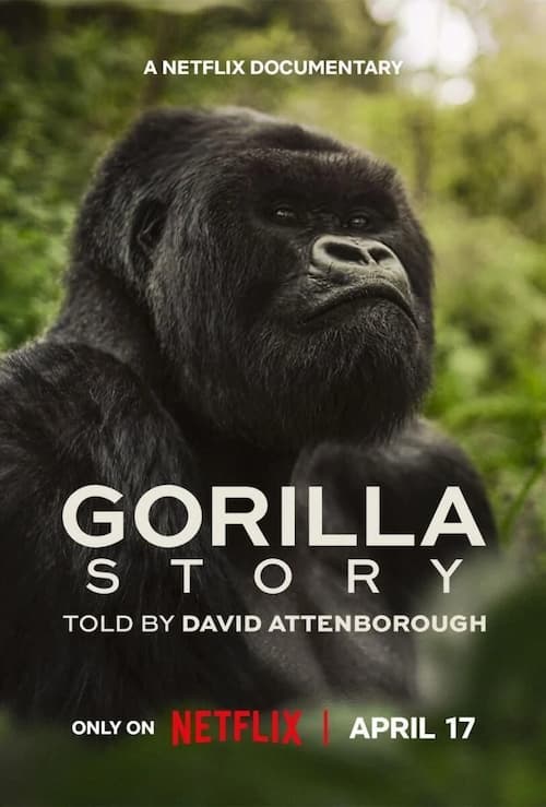Una historia de gorilas contada por David Attenborough